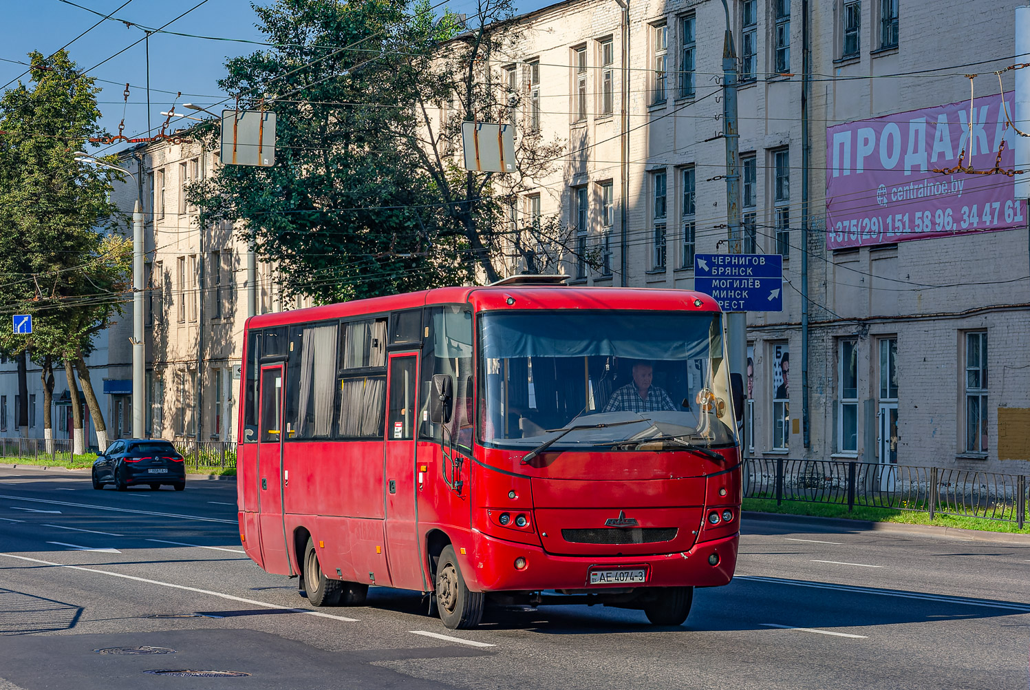 Gomel region, MAZ-256.*** č. АЕ 4074-3