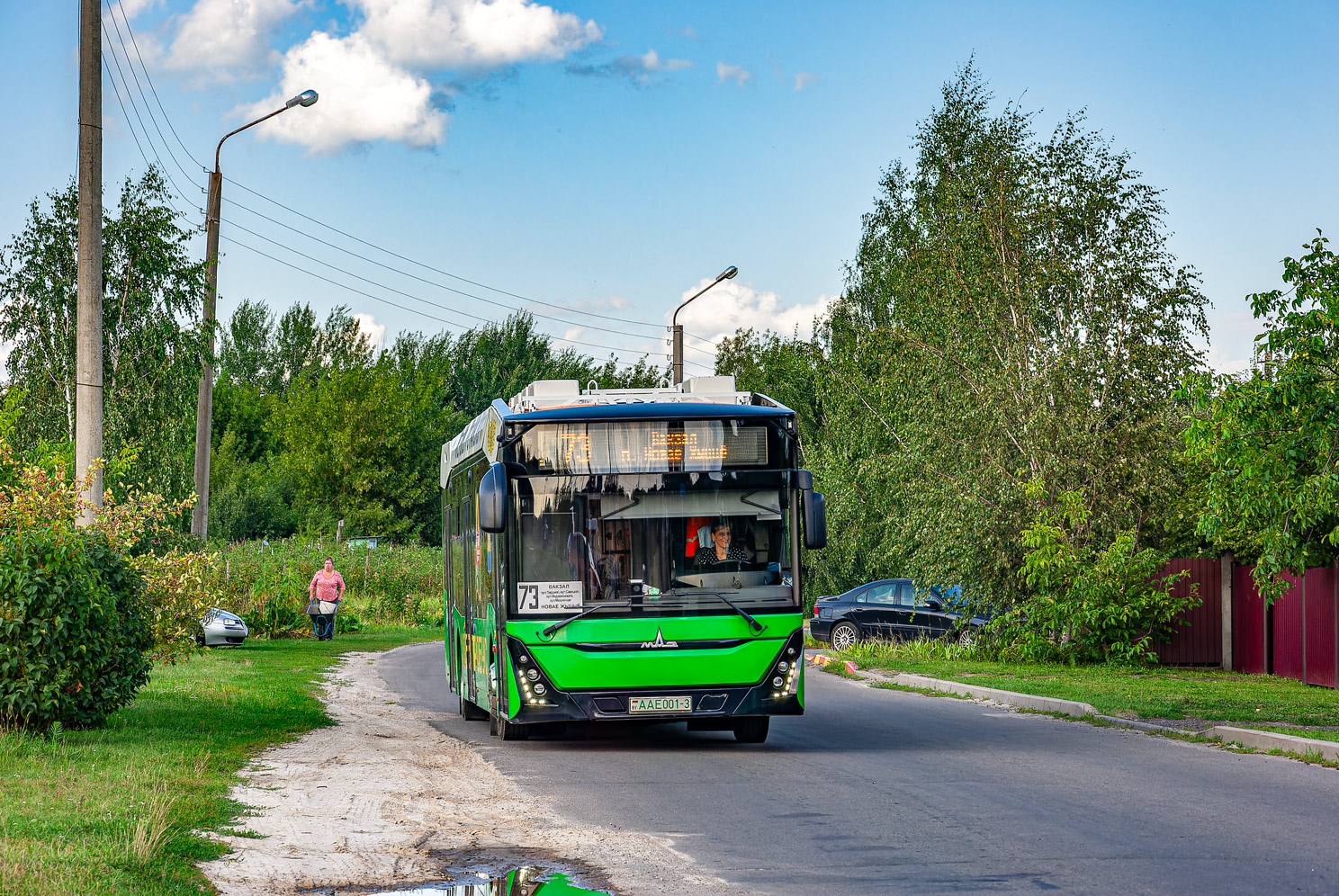 Гомельская область, МАЗ-303.E10 № 1858