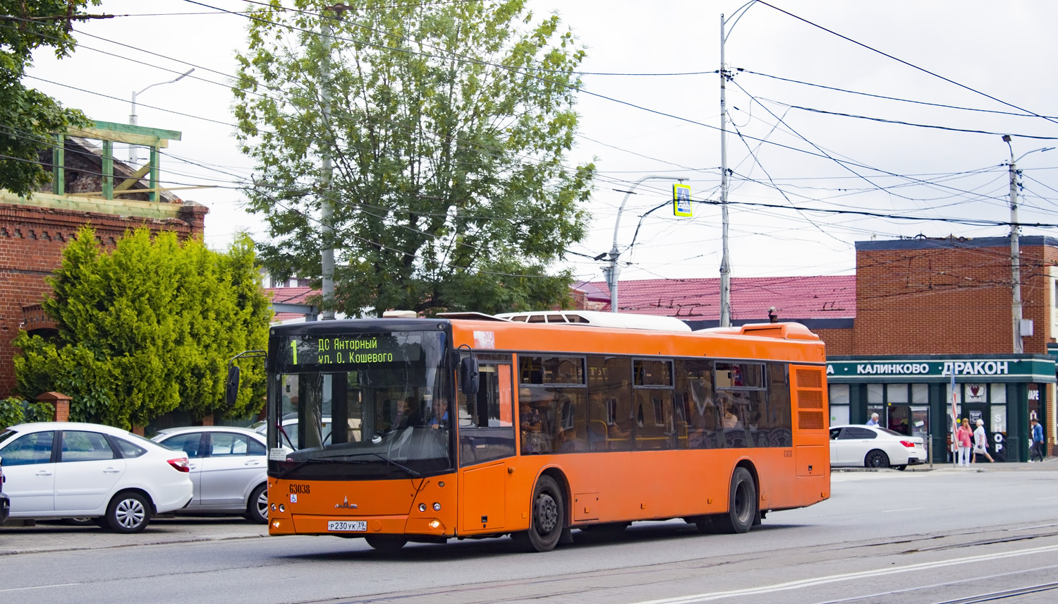 Калининградская область, МАЗ-203.085 № 63038 Калининградская область, МАЗ-203.085 № 63038