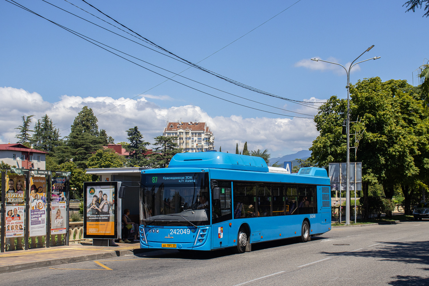 Краснодарский край, МАЗ-203.С65 № 242049