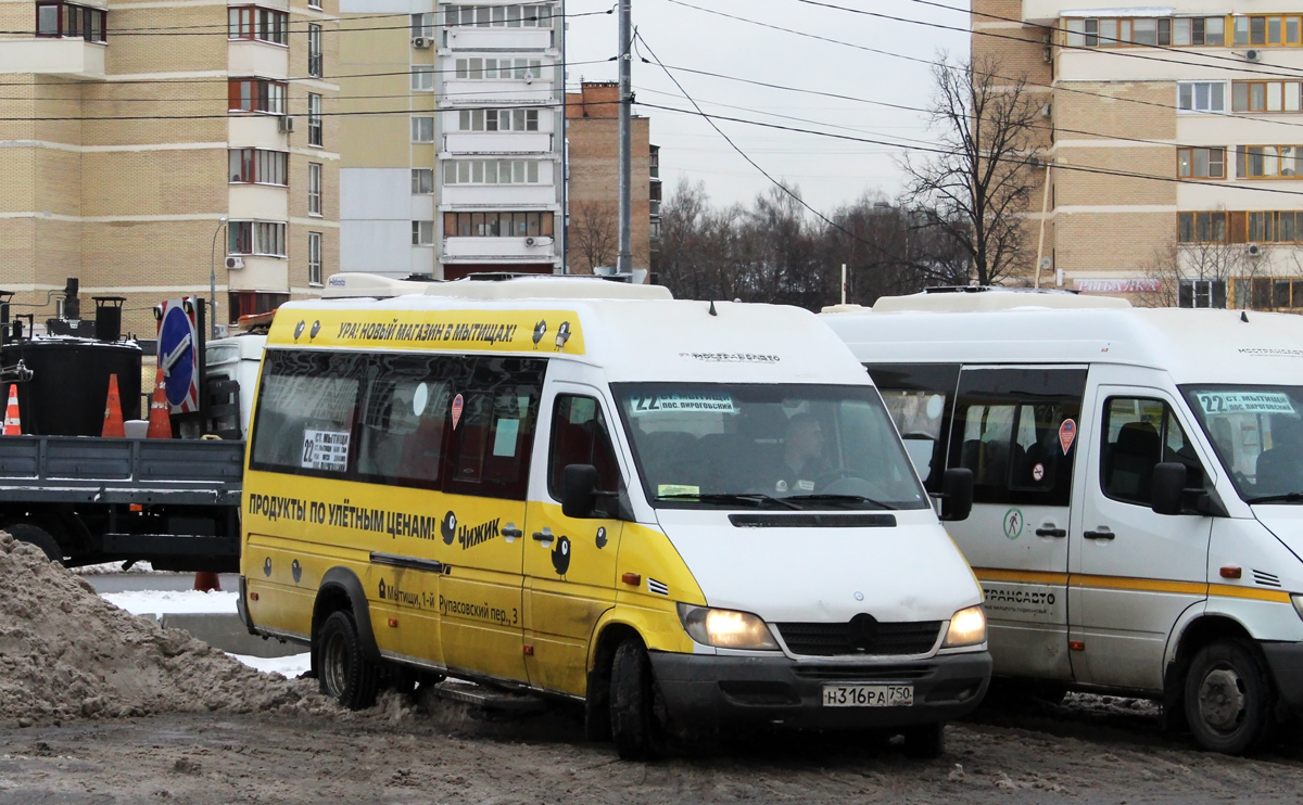 Московская область, Луидор-223237 (MB Sprinter Classic) № Н 316 РА 750