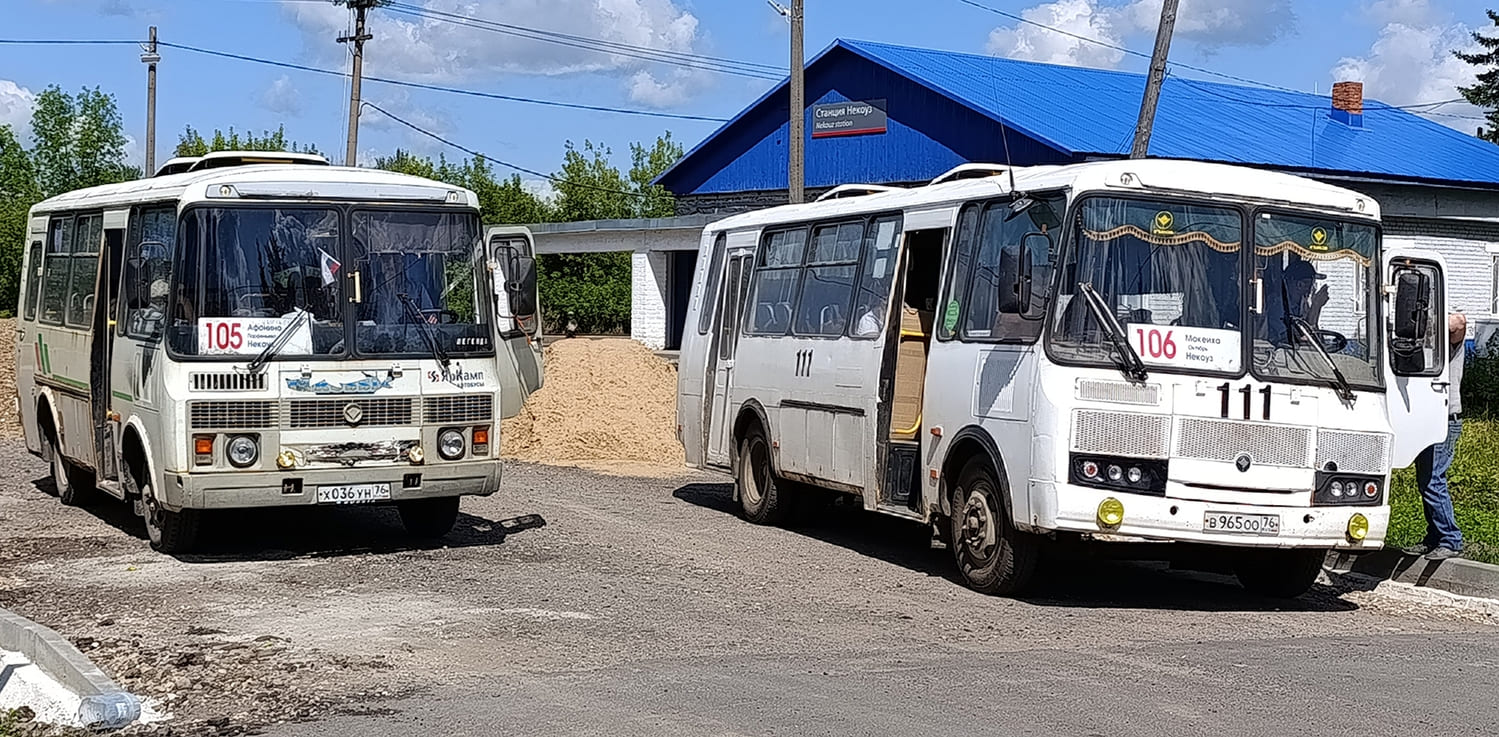 Ярославская область, ПАЗ-32053-110-07 № 384; Ярославская область, ПАЗ-4234-05 № 111