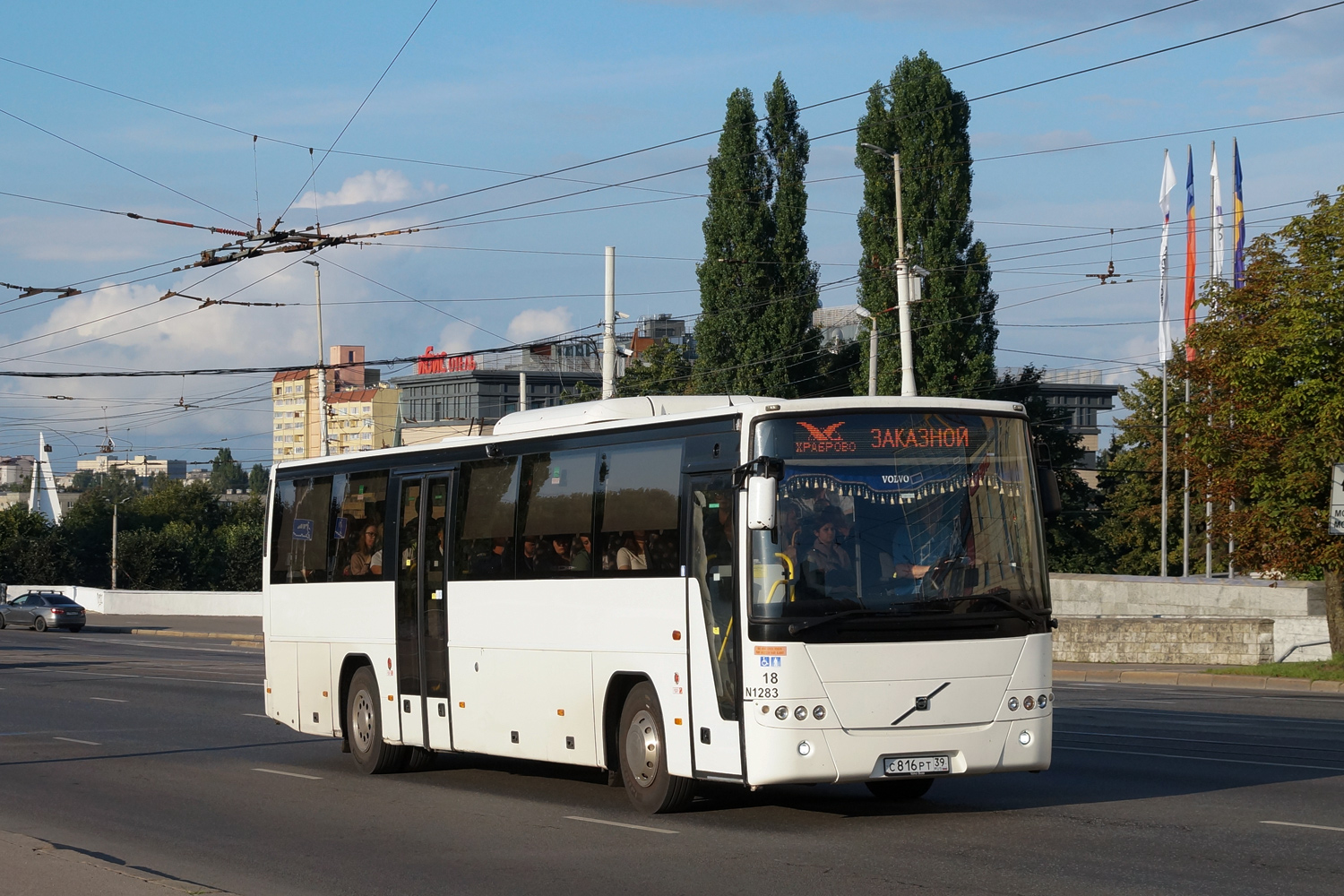 Калининградская область, Volvo 8700 № С 816 РТ 39