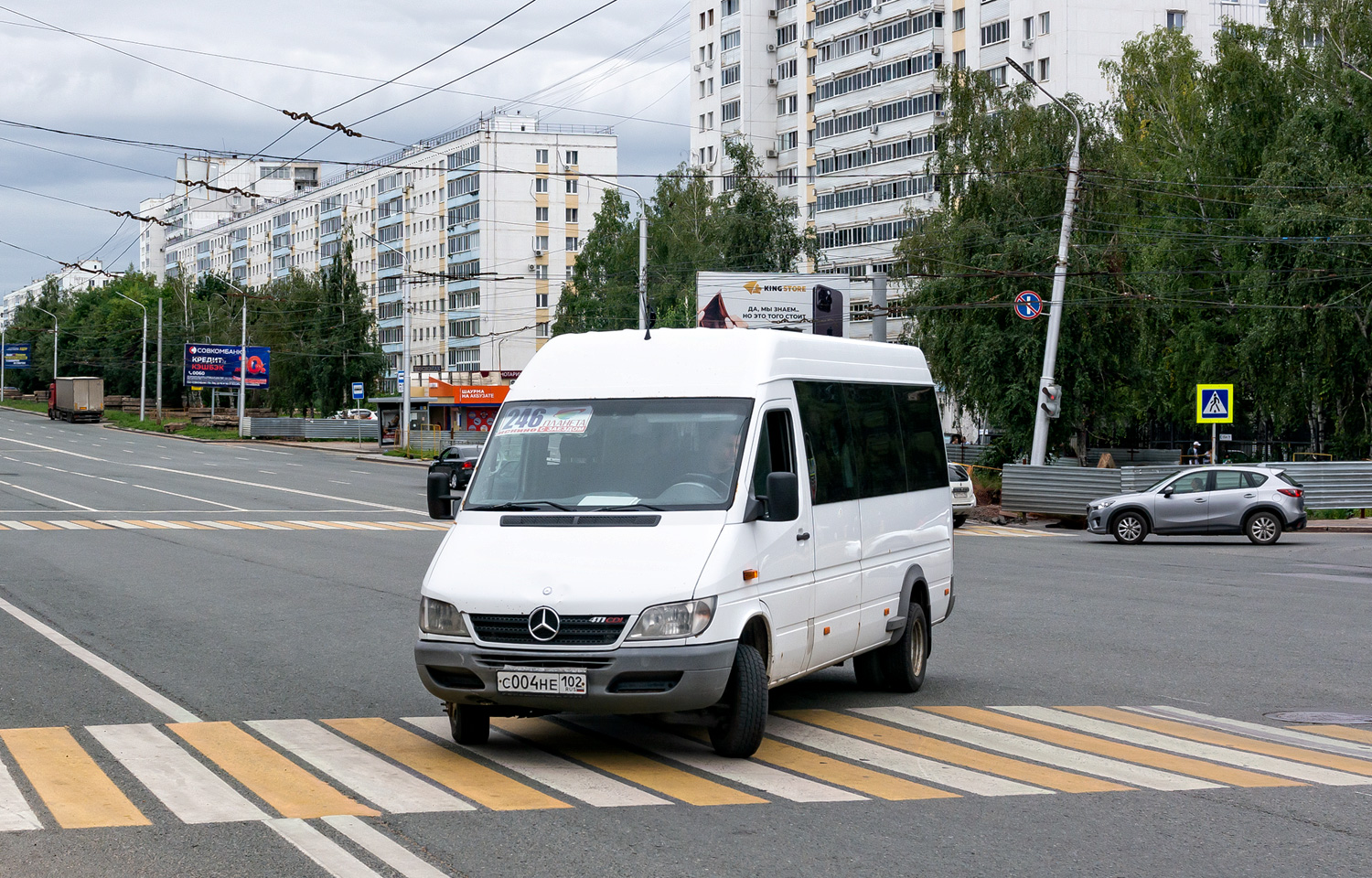 Башкортостан, Луидор-223201 (MB Sprinter Classic) № С 004 НЕ 102