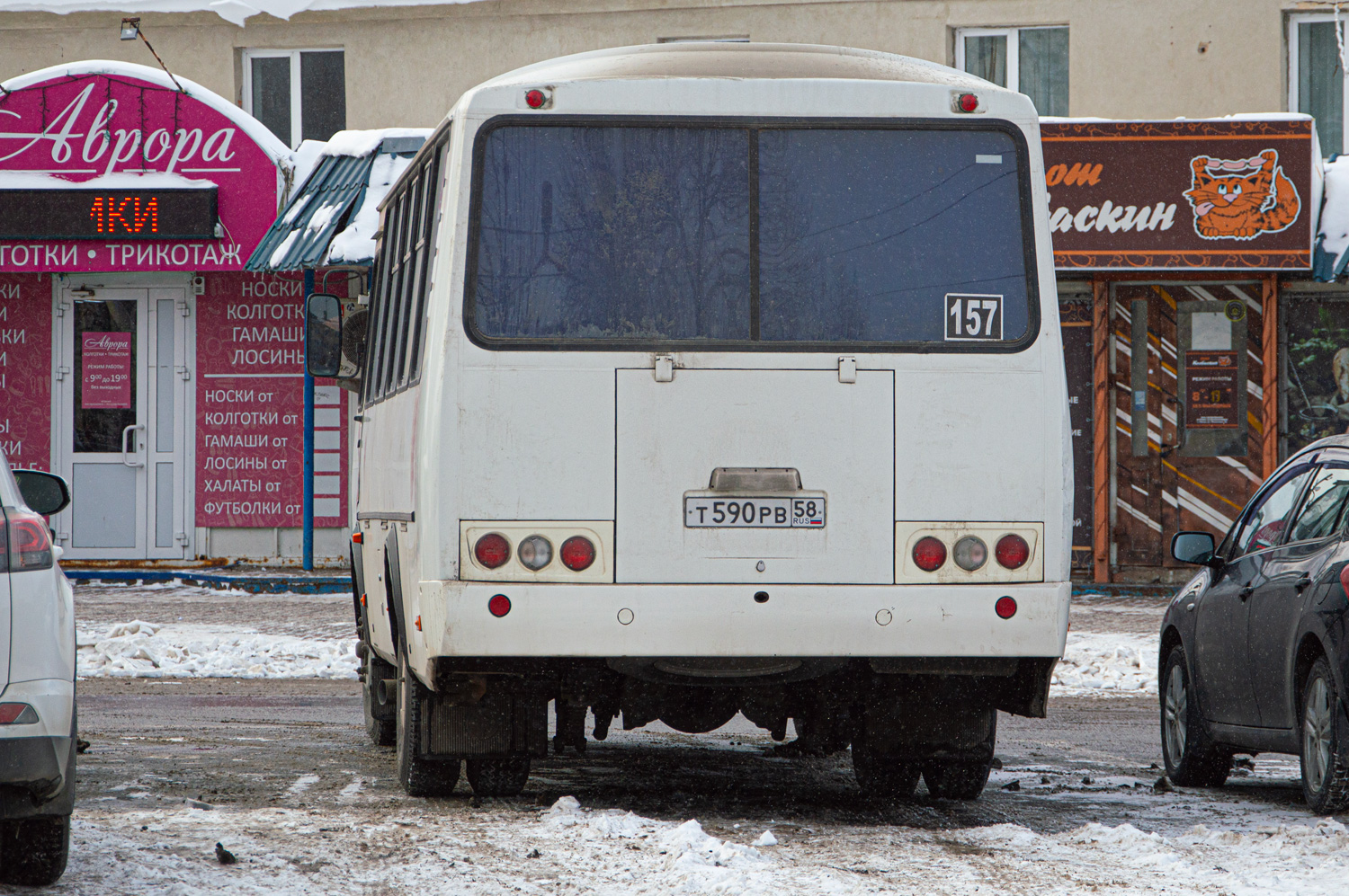 Пензенская область, ПАЗ-4234-05 № Т 590 РВ 58