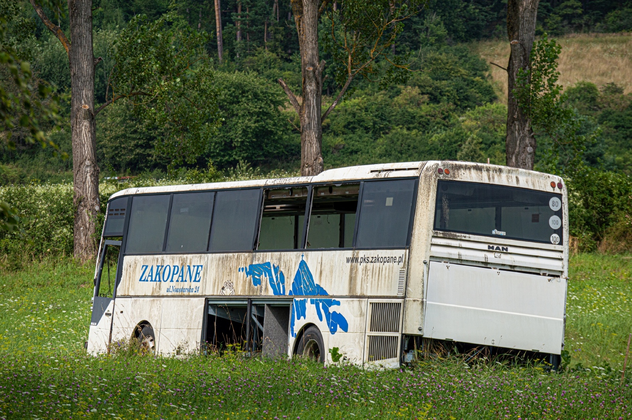 Польша, MAN A03 Lion's Star RH463 № 50503