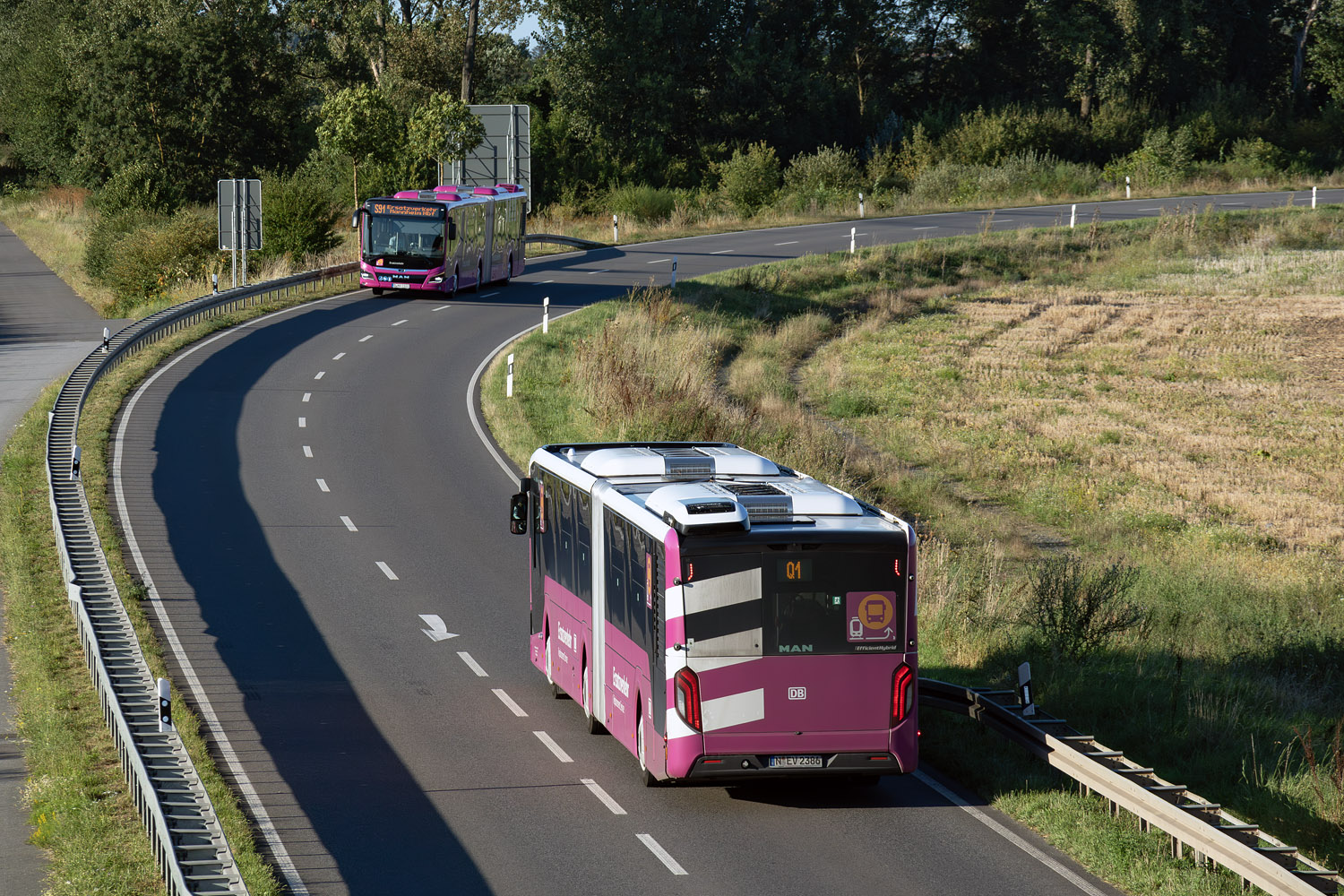 Bayern, MAN 18C Lion's City 18 NG360 EfficientHybrid Nr. N-EV 2386; Hessen — SEV · Riedbahn · Frankfurt am Main <> Mannheim · 15.07.2024 — 14.12.2024