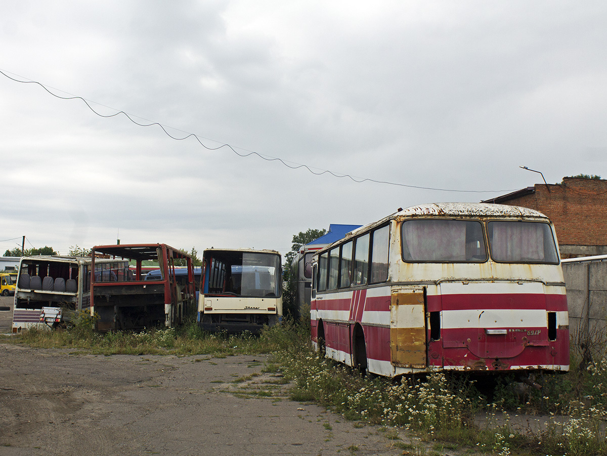 Львовская область, Ikarus 256 № BC 6218 BI; Львовская область, Ikarus 256 № BC 6049 CH; Львовская область, Ikarus 250.59 № BC 4142 BI; Львовская область, ЛАЗ-697Р № BC 4254 BX