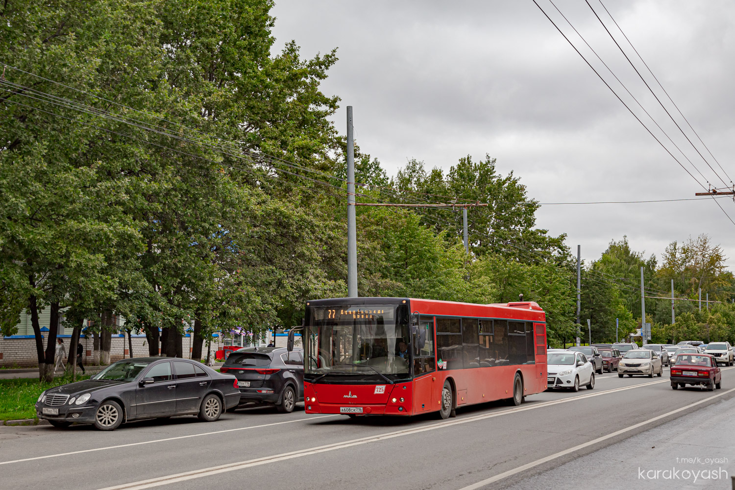 Татарстан, МАЗ-203.069 № 725