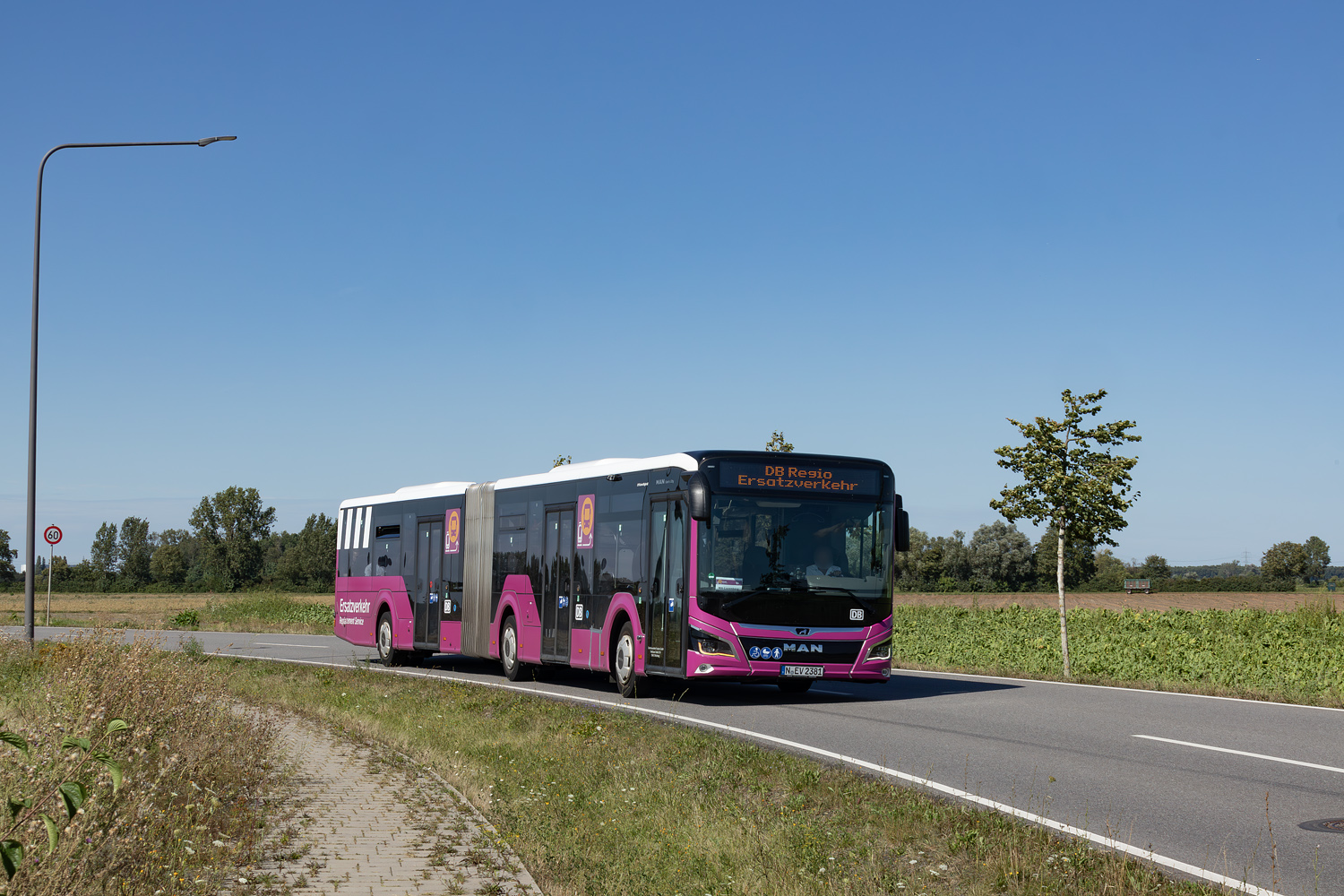 Бавария, MAN 18C Lion's City 18 NG360 EfficientHybrid № N-EV 2381; Гессен — SEV · Riedbahn · Frankfurt am Main <> Mannheim · 15.07.2024 — 14.12.2024