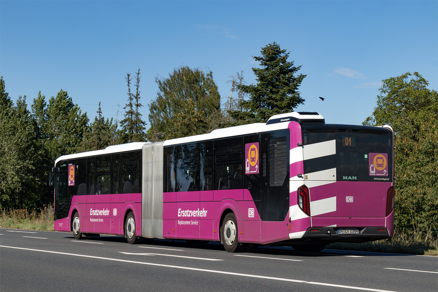 Бавария, MAN 18C Lion's City 18 NG360 EfficientHybrid № N-EV 2384; Гессен — SEV · Riedbahn · Frankfurt am Main <> Mannheim · 15.07.2024 — 14.12.2024