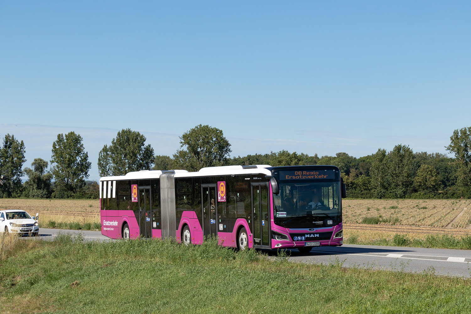 Бавария, MAN 18C Lion's City 18 NG360 EfficientHybrid № N-EV 2388; Гессен — SEV · Riedbahn · Frankfurt am Main <> Mannheim · 15.07.2024 — 14.12.2024