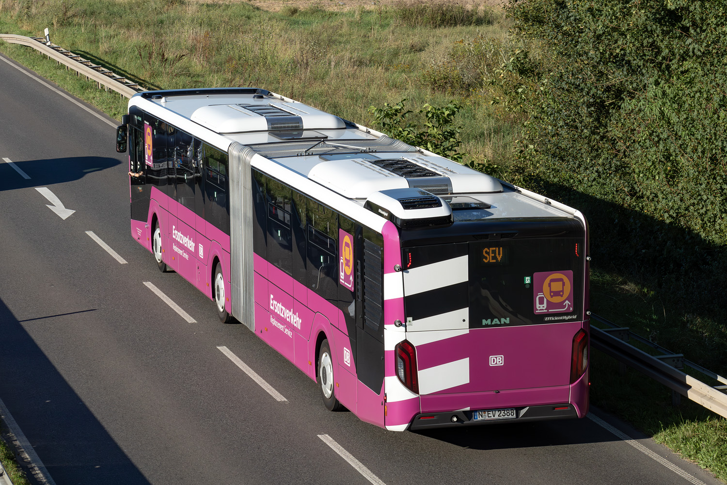 Бавария, MAN 18C Lion's City 18 NG360 EfficientHybrid № N-EV 2388; Гессен — SEV · Riedbahn · Frankfurt am Main <> Mannheim · 15.07.2024 — 14.12.2024