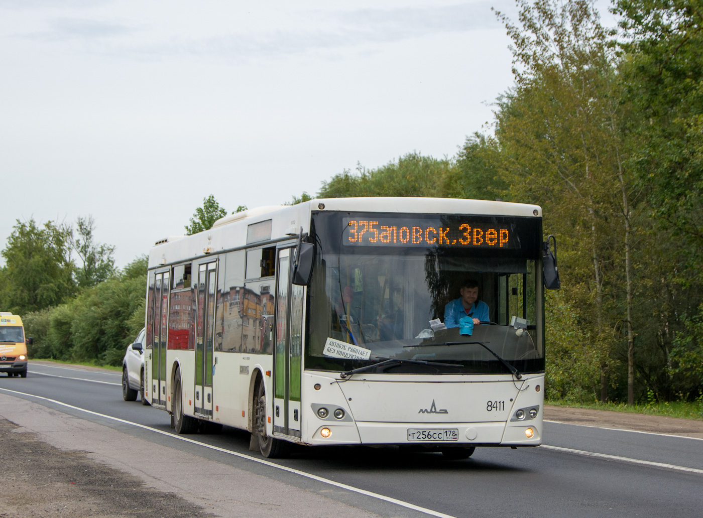 Санкт-Петербург, МАЗ-203.085 № 8411