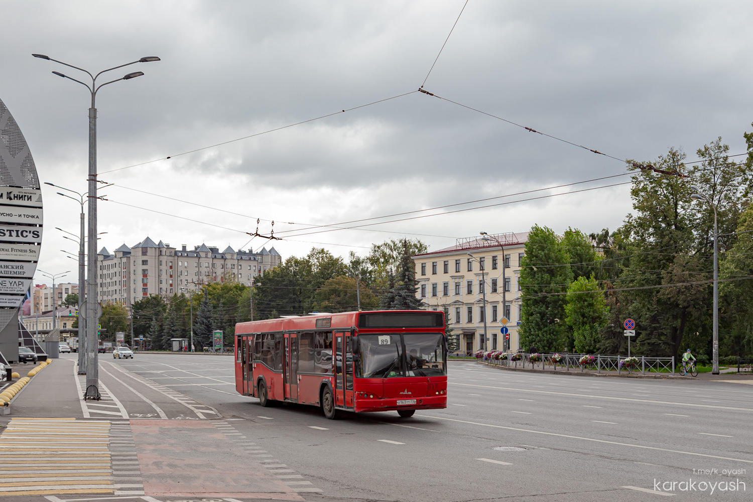 Татарстан, МАЗ-103.465 № 113