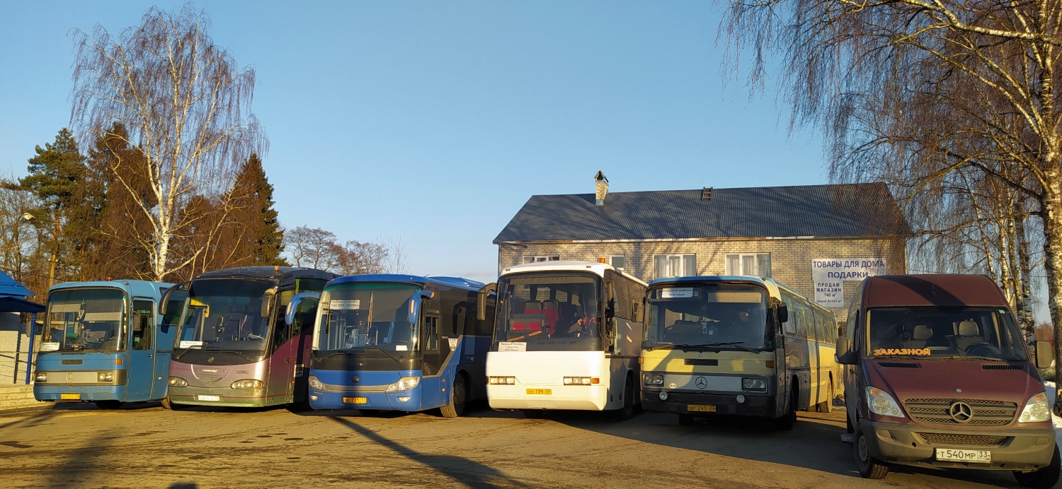 Vladimir region, Mercedes-Benz Sprinter W906 318CDI č. Т 540 МР 33