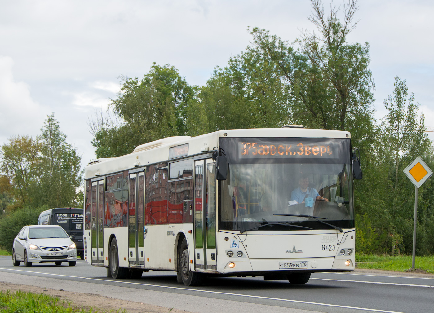 Санкт-Петербург, МАЗ-203.085 № 8423