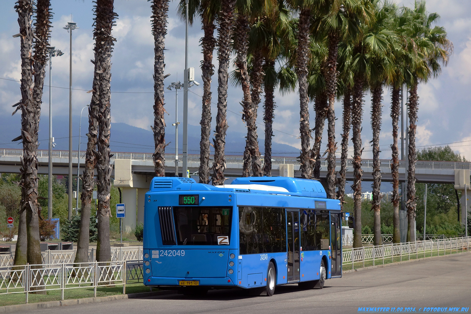 Краснодарский край, МАЗ-203.С65 № 242049