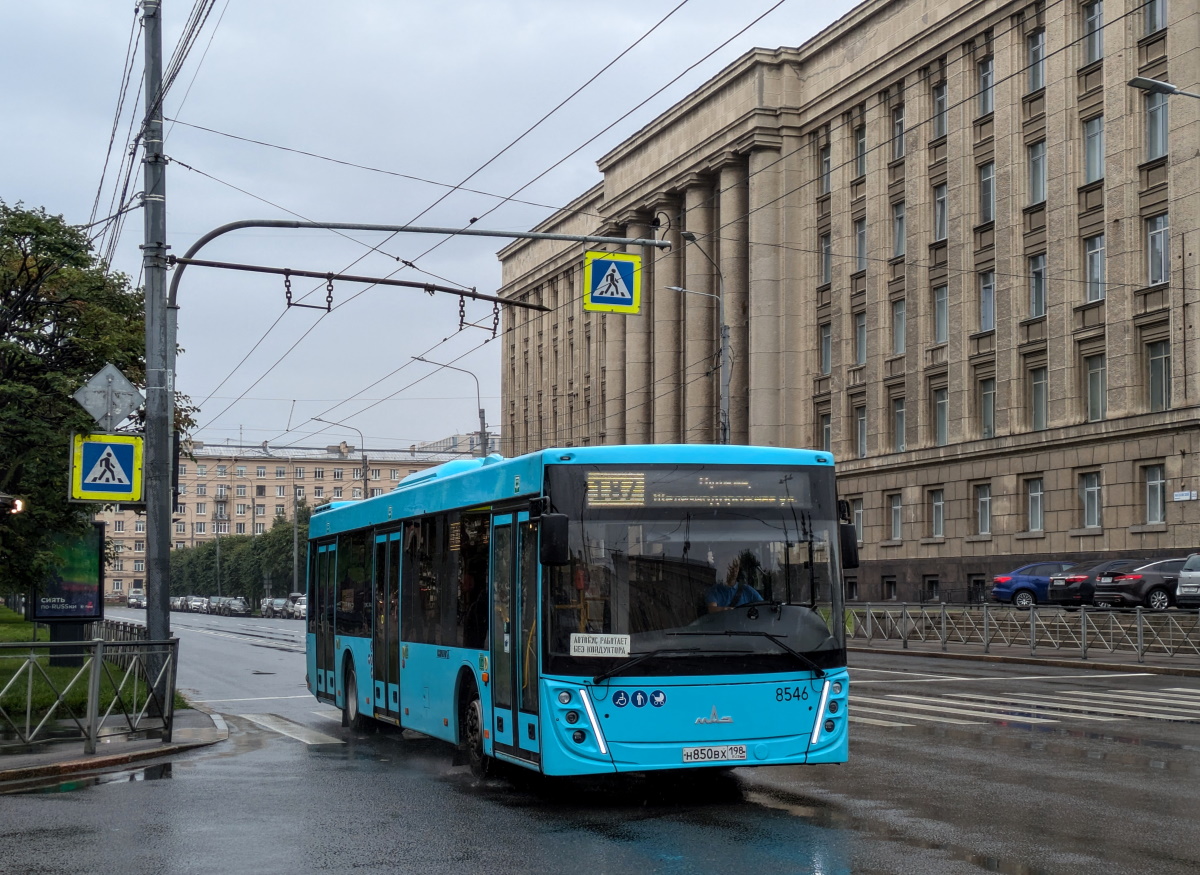 Санкт-Петербург, МАЗ-203.047 № 8546