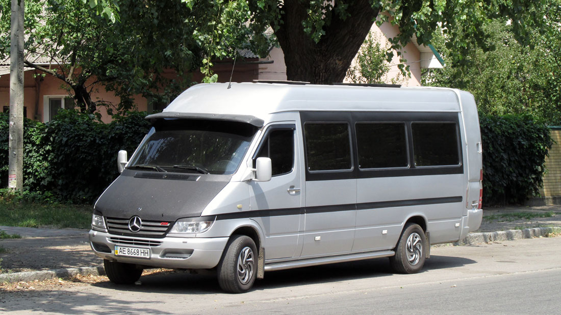 Днепропетровская область, Mercedes-Benz Sprinter W903 313CDI № AE 8668 HH