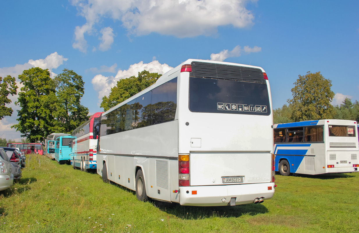 Гомельская область, Neoplan N316SHD Transliner № АМ 6031-3