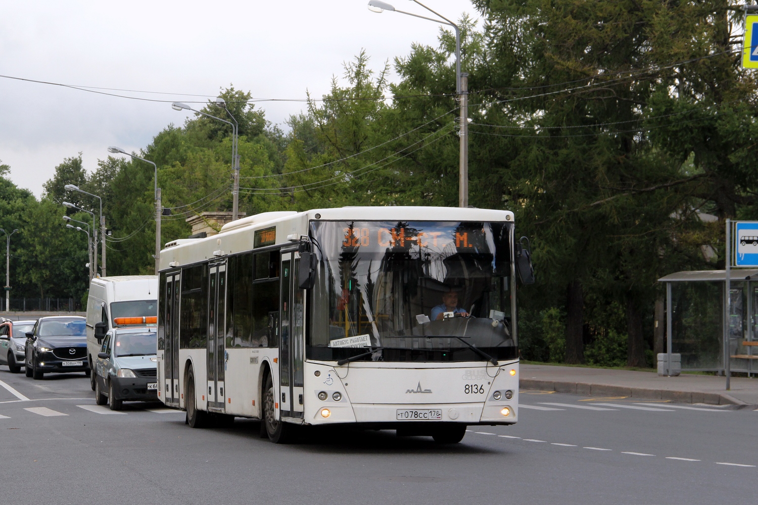 Санкт-Петербург, МАЗ-203.085 № 8136