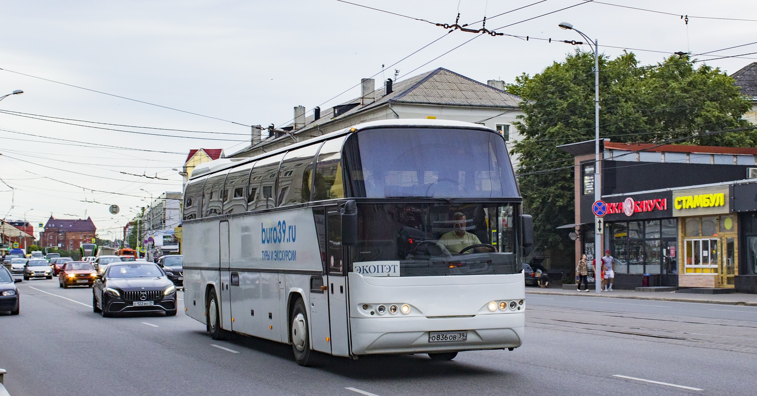 Kaliningrad region, Neoplan N116 Cityliner # О 836 ОВ 39 Kaliningrad region, Neoplan N116 Cityliner # О 836 ОВ 39