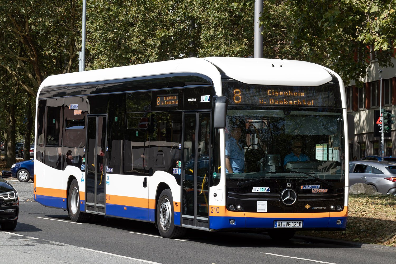 Hesenko, Mercedes-Benz eCitaro č. 210 Hesenko, Mercedes-Benz eCitaro č. 210