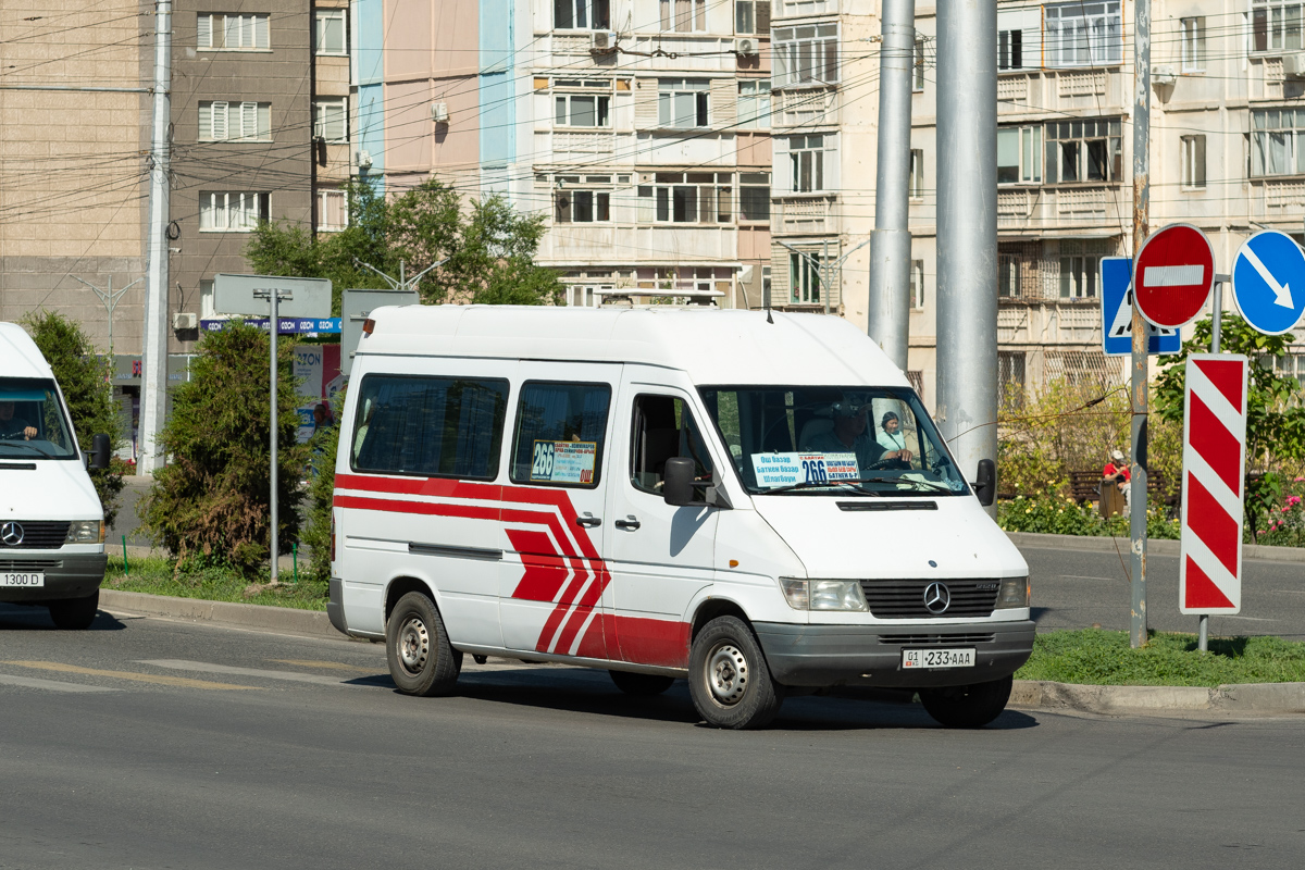 Кыргызстан, Mercedes-Benz Sprinter W901/W902 212D № 01 233 AAA