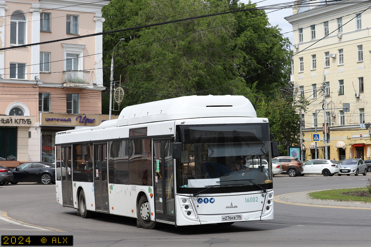 Воронежская область, МАЗ-203.948 № 16002