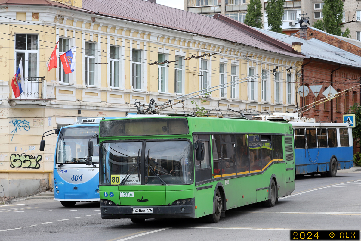 Воронежская область, МАЗ-103.465 № 13014