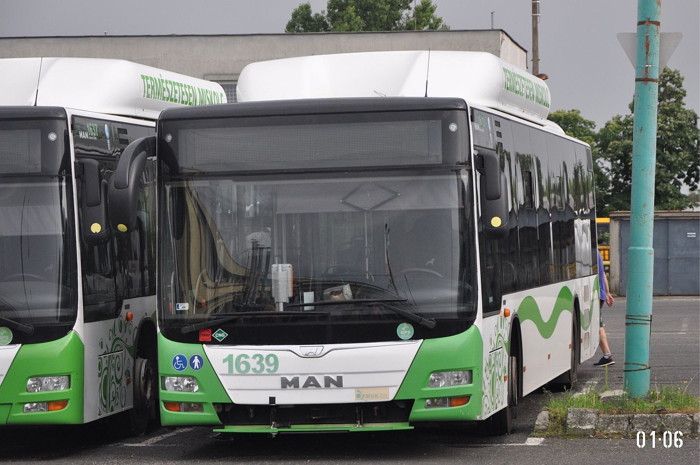 Венгрия, MAN A21 Lion's City NL273 CNG № 1639; Венгрия — Дни открытых дверей