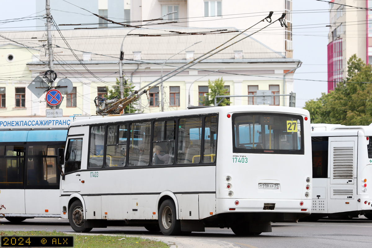 Воронежская область, ПАЗ-320412-05 "Вектор" № 17403