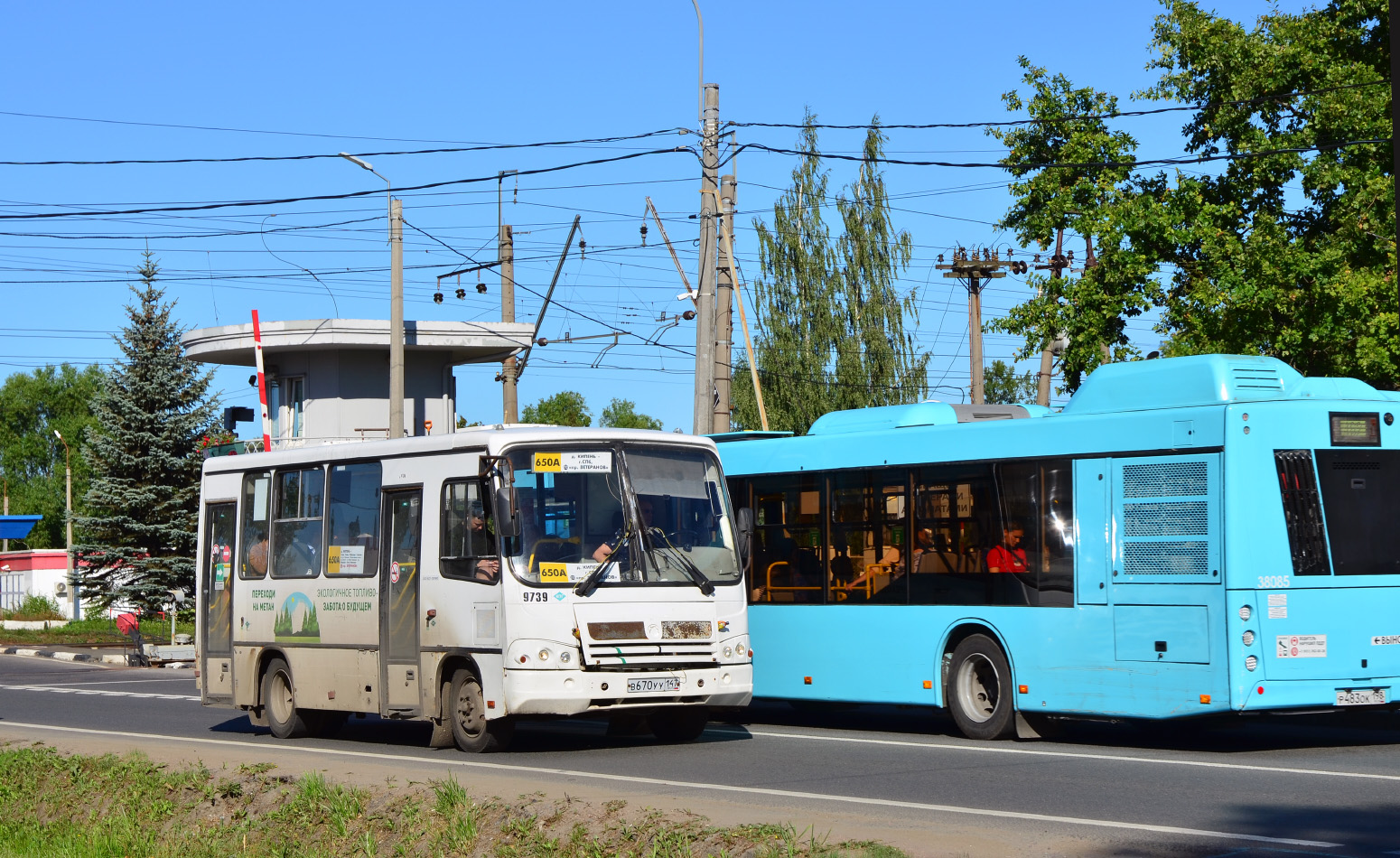 Ленинградская область, ПАЗ-320302-11 № 9739