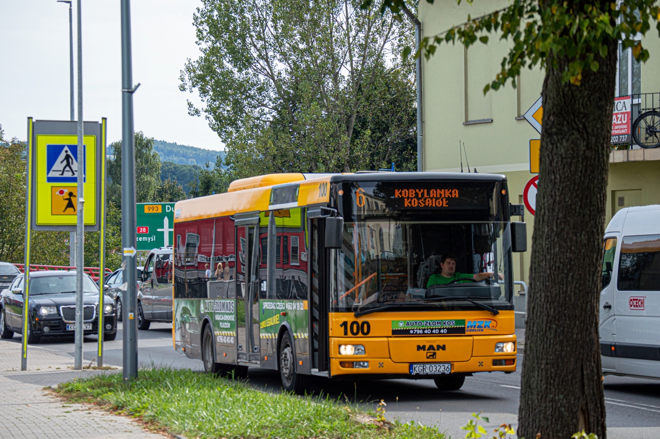 Polsko, Göppel (MAN A76 NM223.2) č. 100