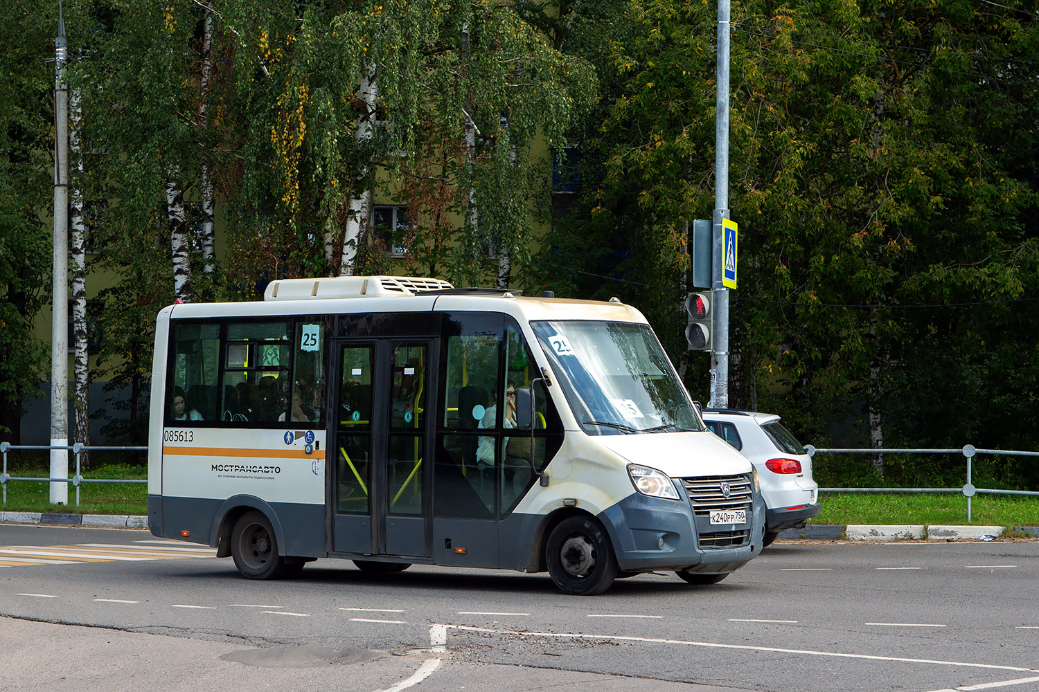 Московская область, Луидор-2250DS (ГАЗ Next) № 085613