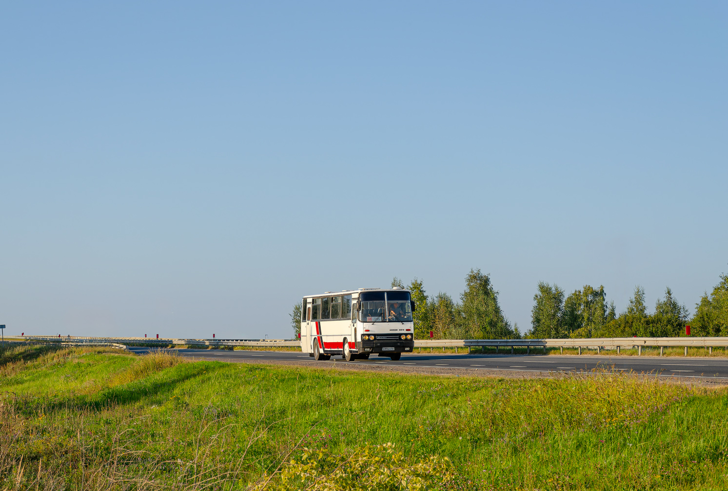 Ryazan region, Ikarus 256.21H # Н 894 СС 62