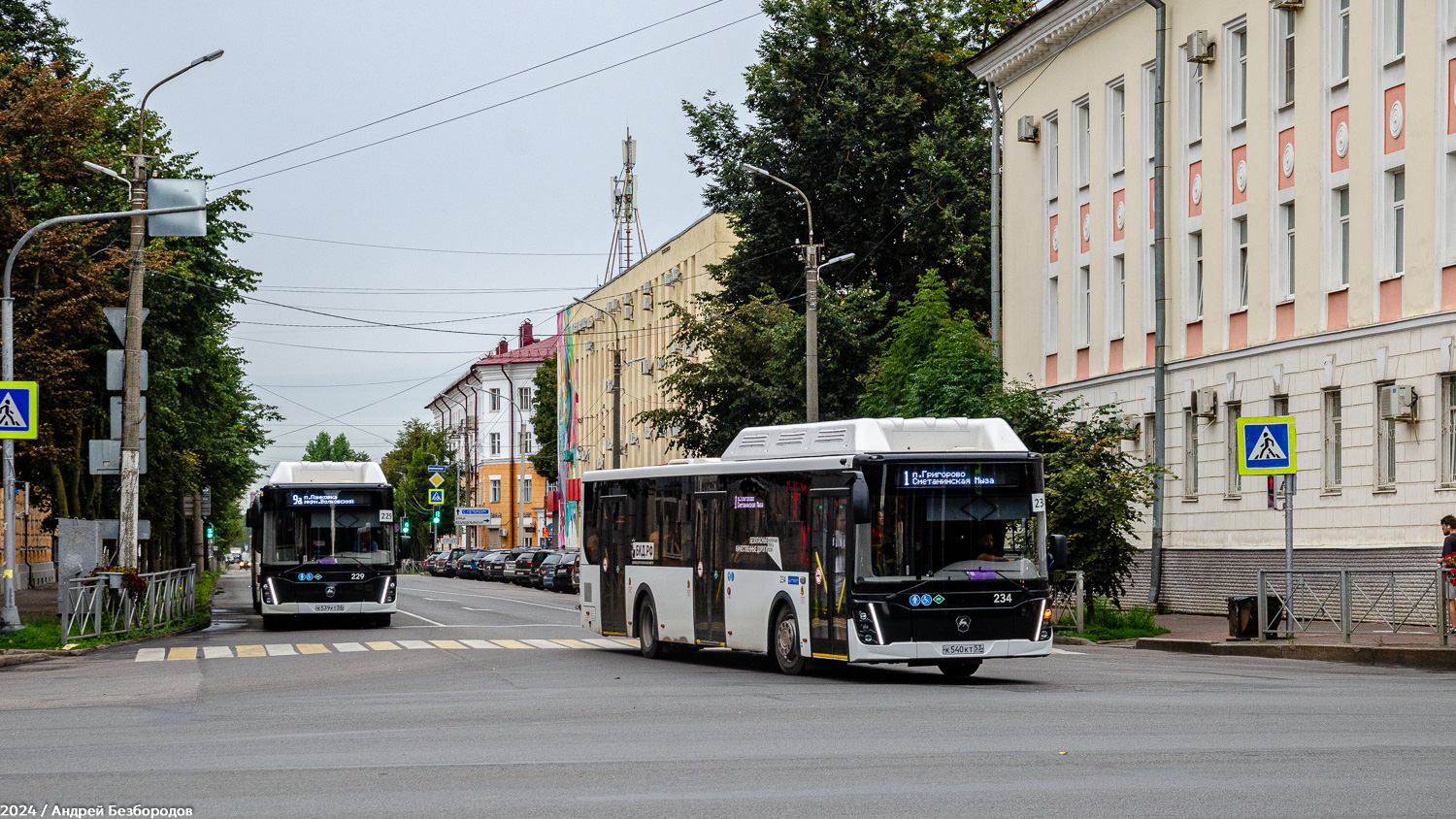 Новгородская область, ЛиАЗ-5292.67 (CNG) № 229; Новгородская область, ЛиАЗ-5292.67 (CNG) № 234