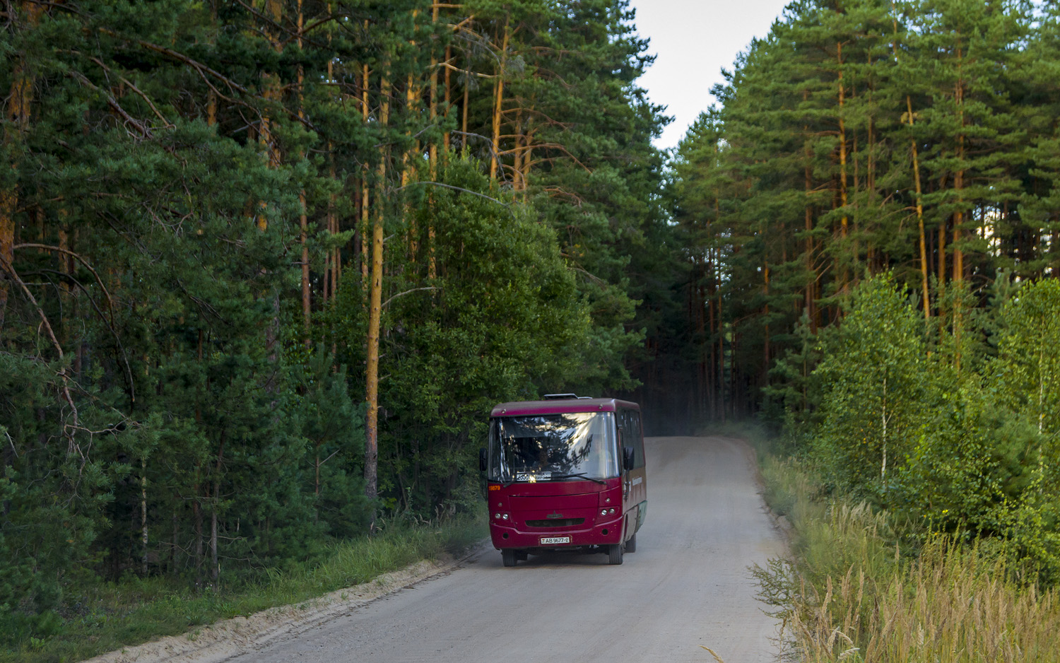 Vitebsk region, MAZ-256.170 № 019879