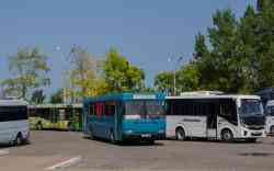 568 КБ