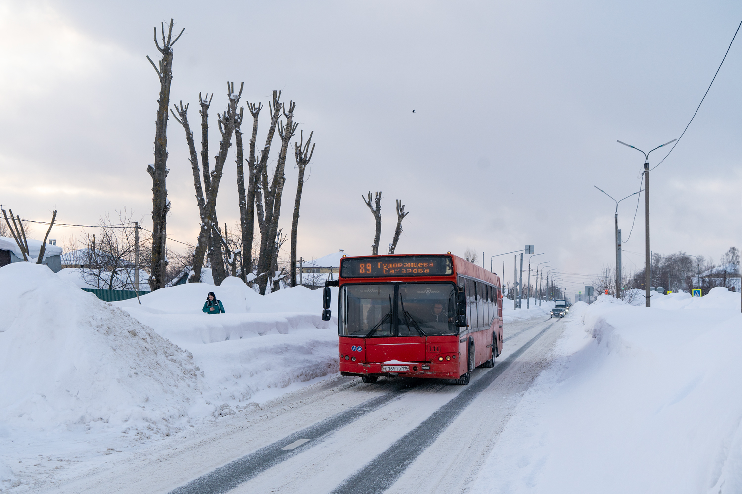 Татарстан, МАЗ-103.465 № 134