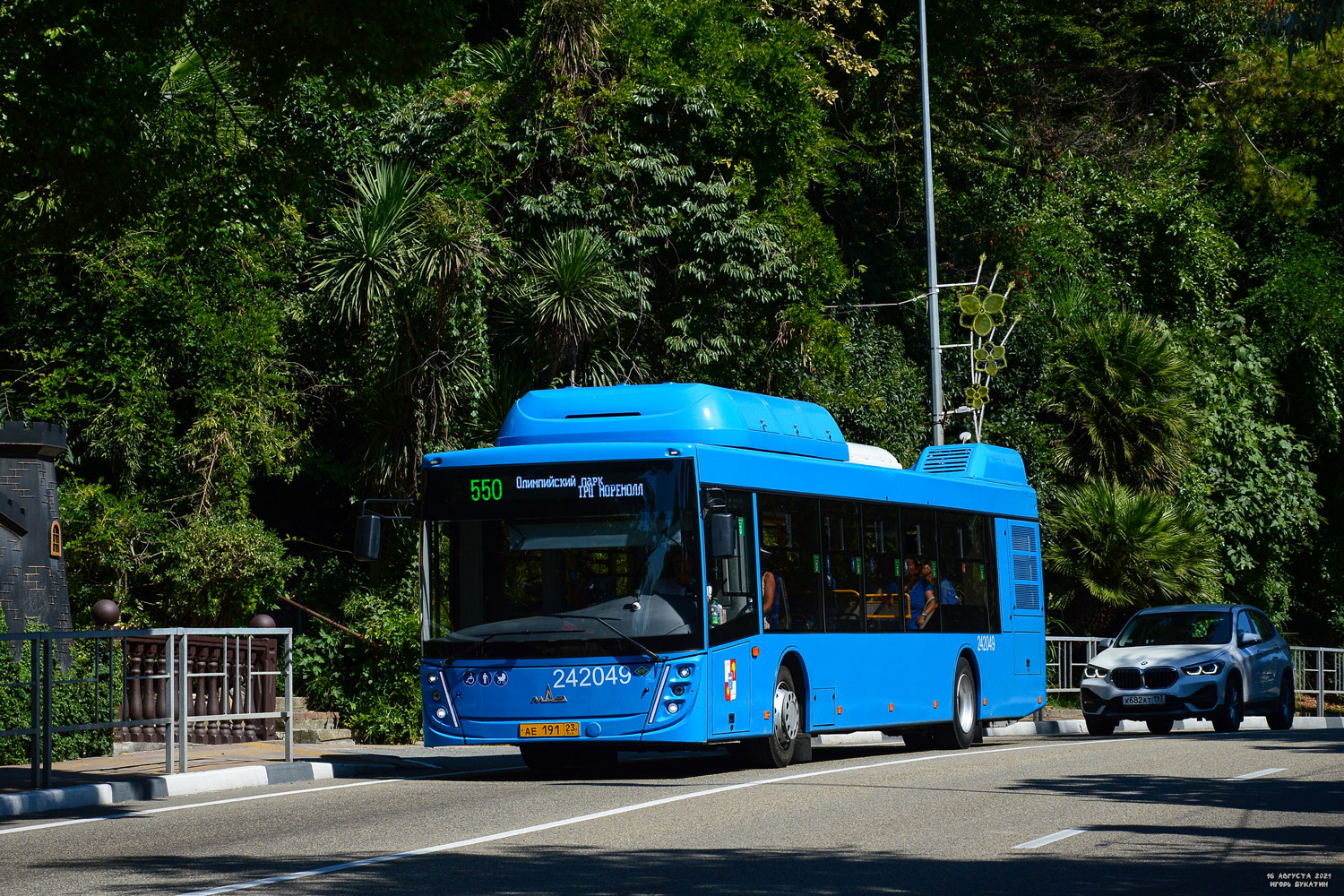 Краснодарский край, МАЗ-203.С65 № 242049