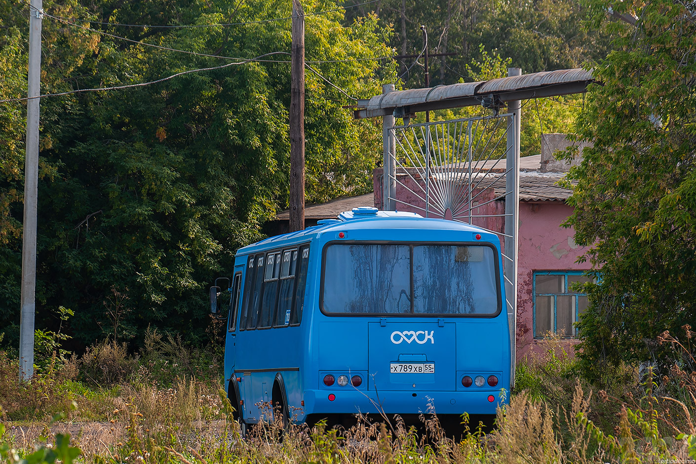 Омская область, ПАЗ-32053 № 703