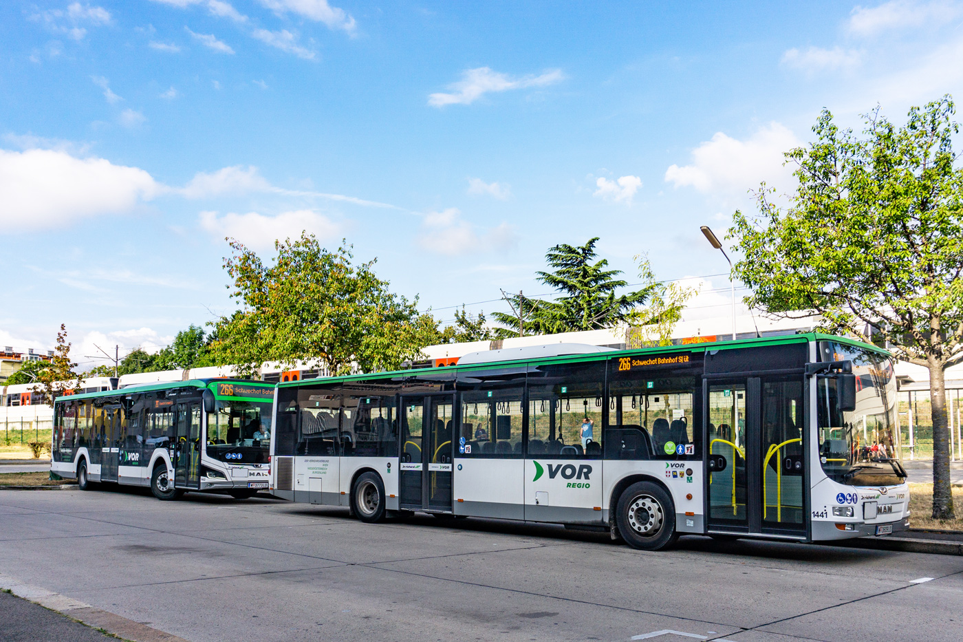 Австрия, MAN A21 Lion's City NL323 № 1441