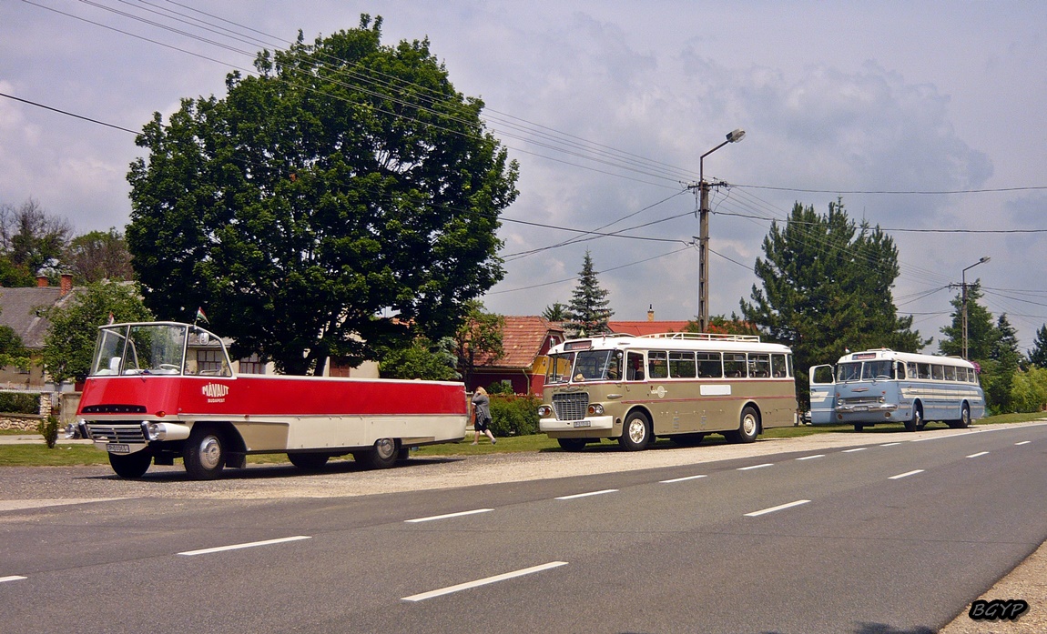 Венгрия, MÁVAUT-Ikarus № P-01065 12