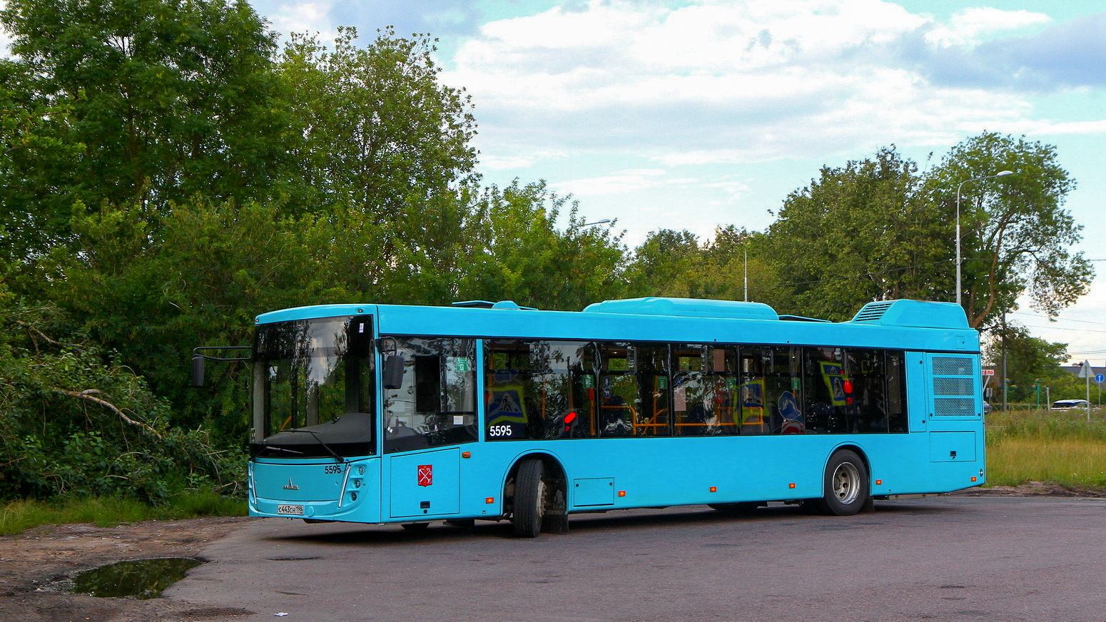 Санкт-Петербург, МАЗ-203.047 № 5595