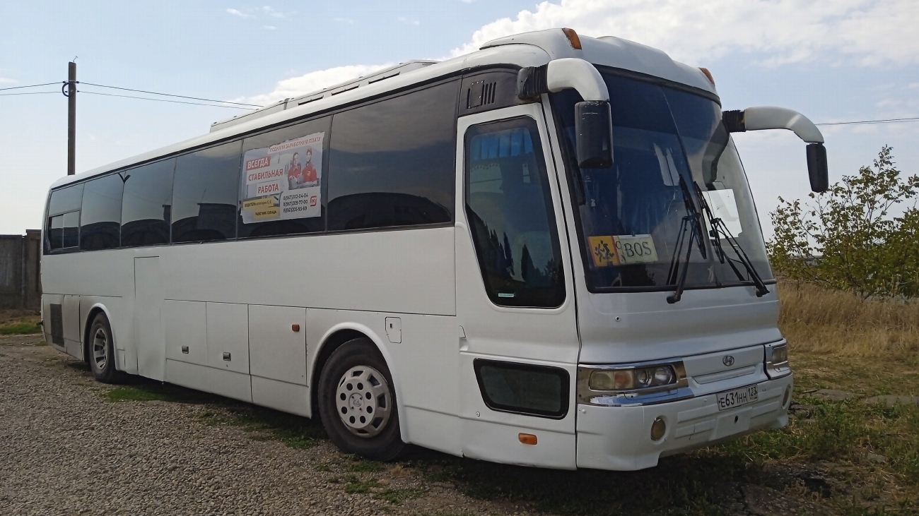 Краснодарский край, Hyundai AeroExpress Hi-Class № Е 631 НН 123