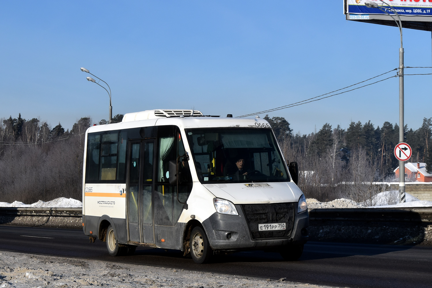 Московская область, Луидор-2250DS (ГАЗ Next) № 121665