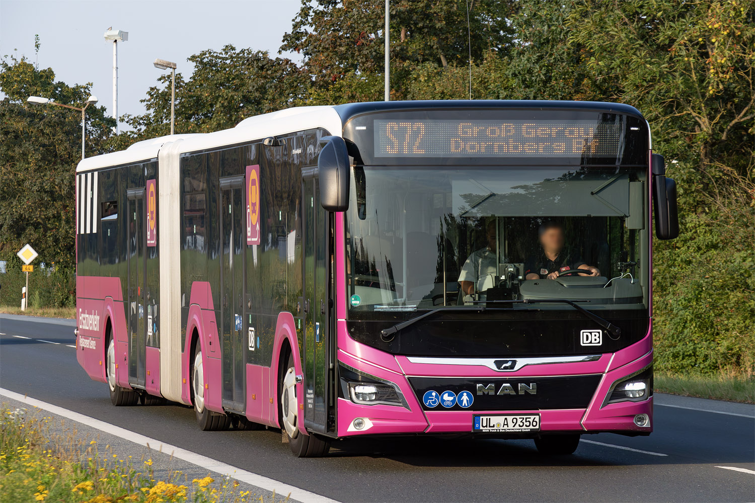 Бранденбург, MAN 18C Lion's City 18 NG360 EfficientHybrid № UL-A 9356; Гессен — SEV · Riedbahn · Frankfurt am Main <> Mannheim · 15.07.2024 — 14.12.2024