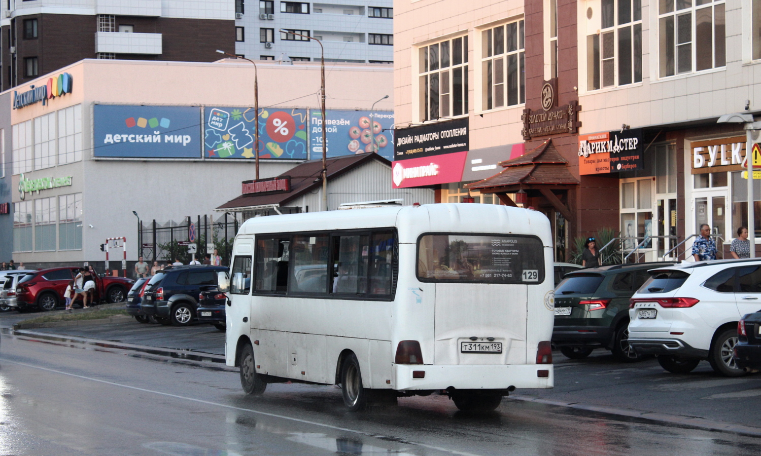 Краснодарский край, Hyundai County LWB C09 (ТагАЗ) № Т 311 КМ 193